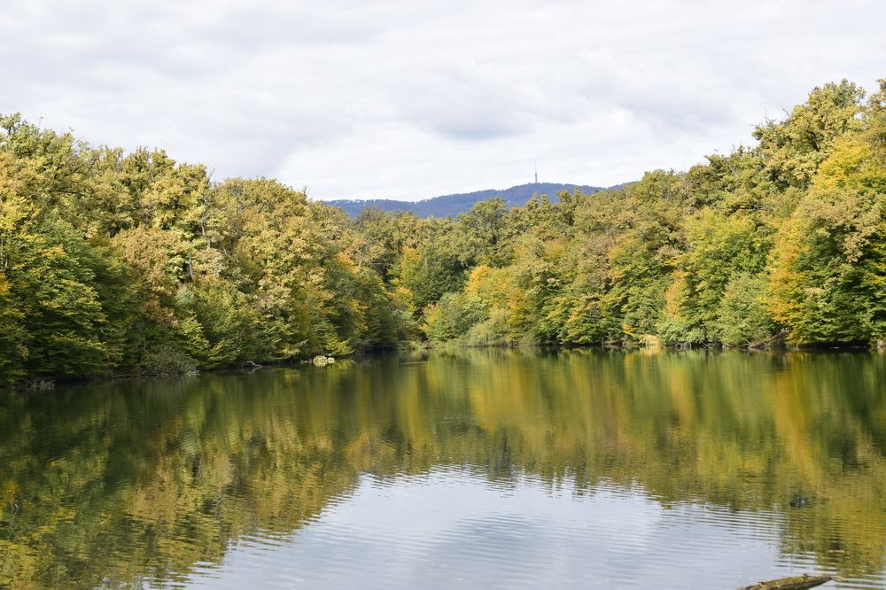 Photograph by Darko Bobić