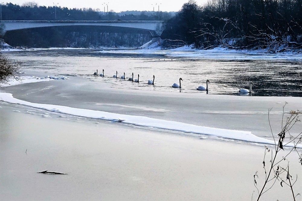 Photograph by jelena konickaja