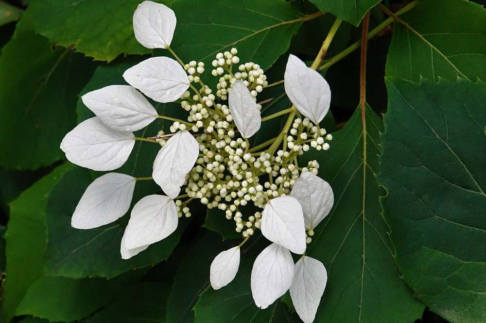 Photograph by jelena konickaja