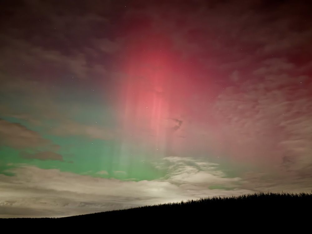 Фотография автора diana van hoof