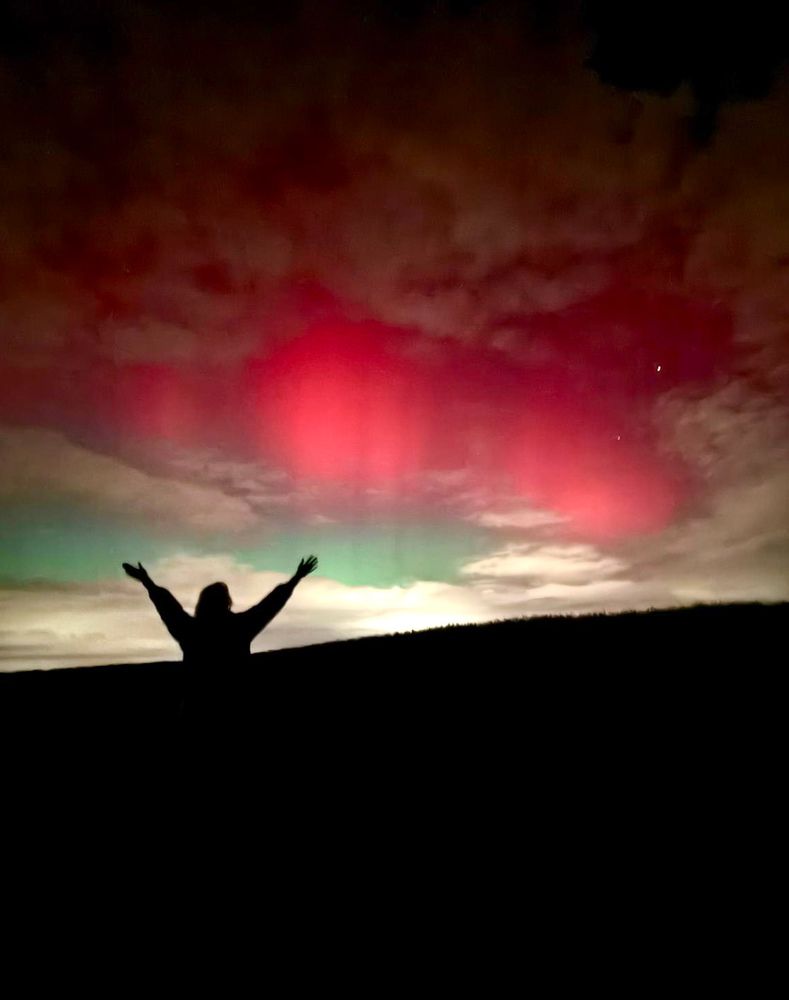 Фотография автора diana van hoof