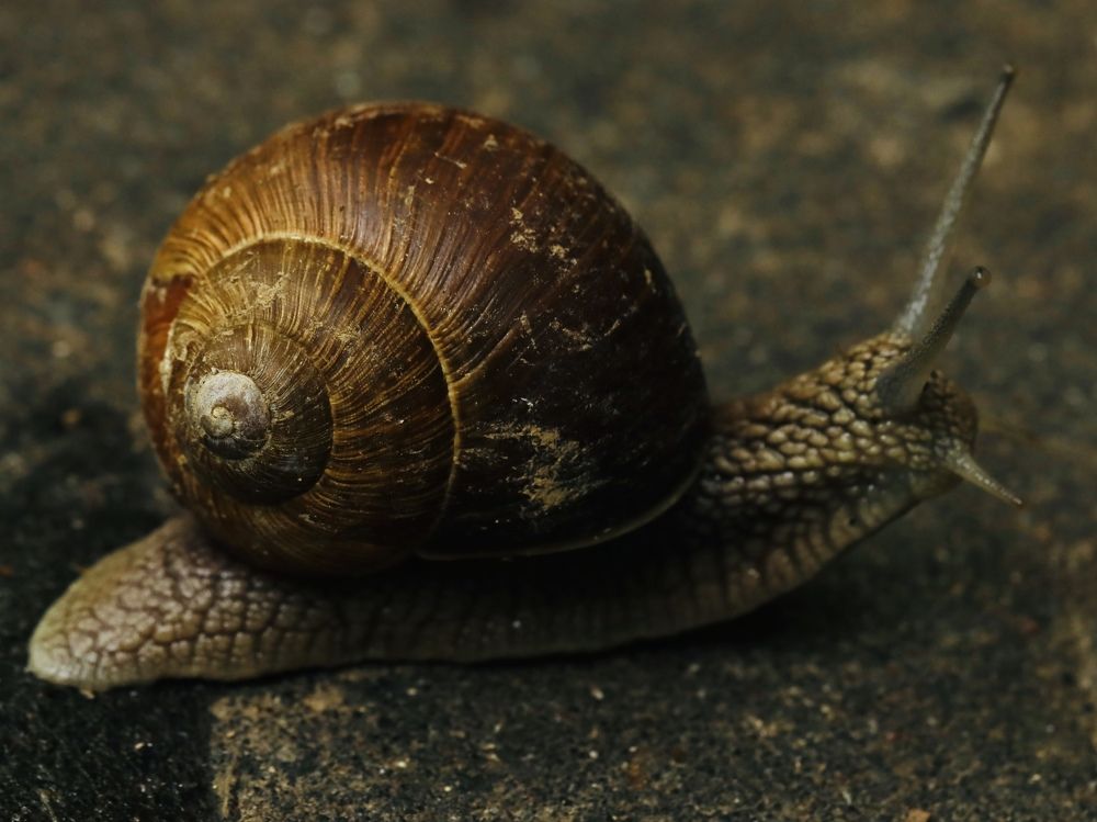 Photograph by Рина Серёгина