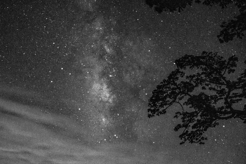 Photograph by MD RASED ROKON