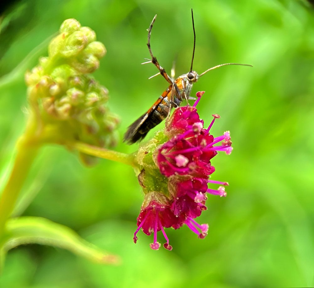 Photograph by FRANCISCO FERREIRA