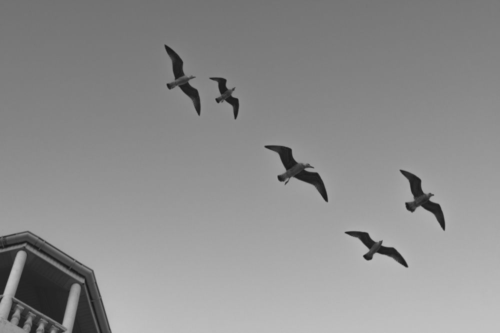 Photograph by Игорь Воробьев