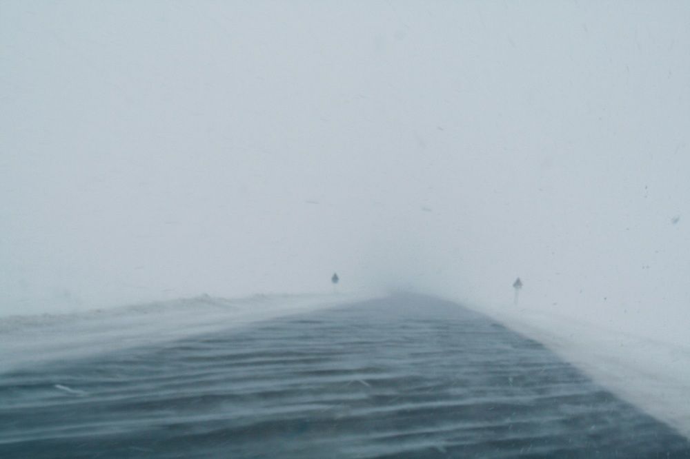 Photograph by Анастасия Свиридова