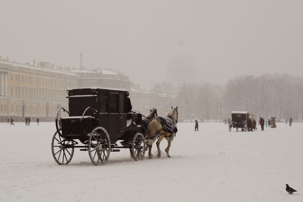 Photograph by Анастасия Свиридова