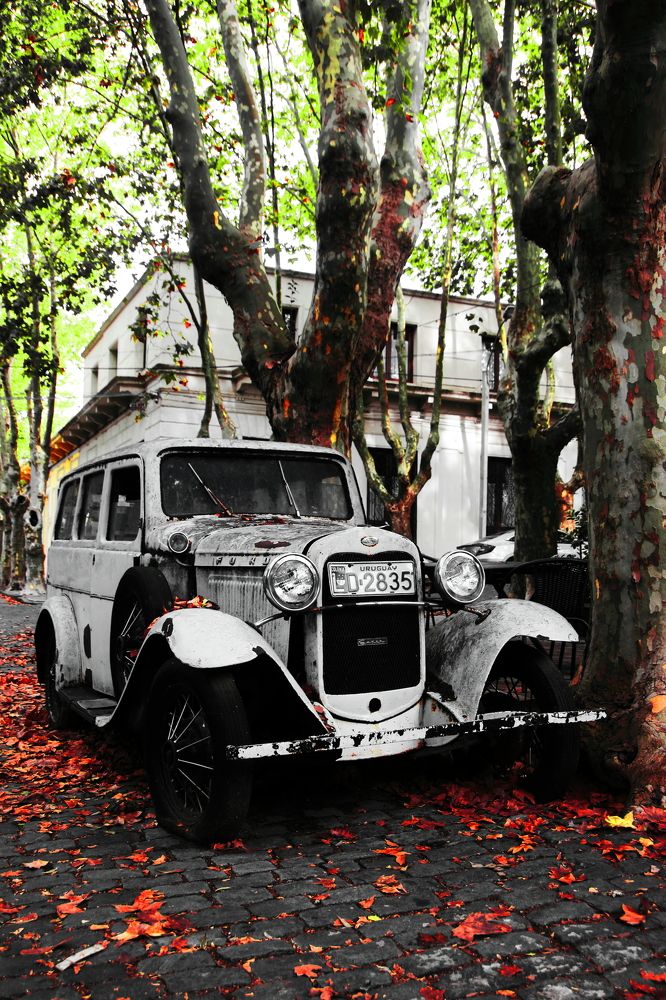 Photograph by Markov Dima