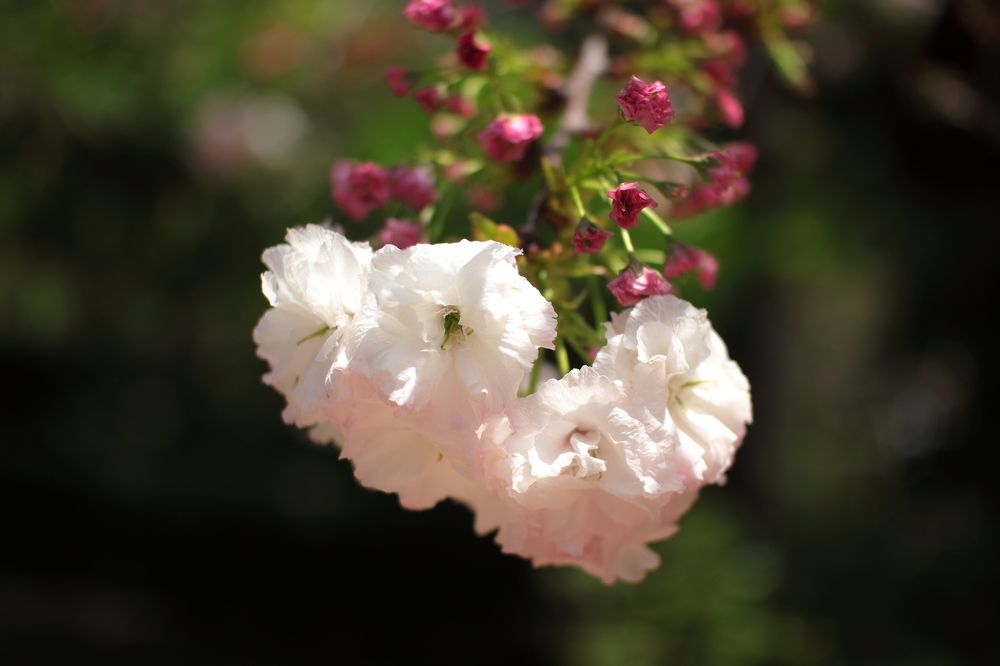 Photograph by Markov Dima