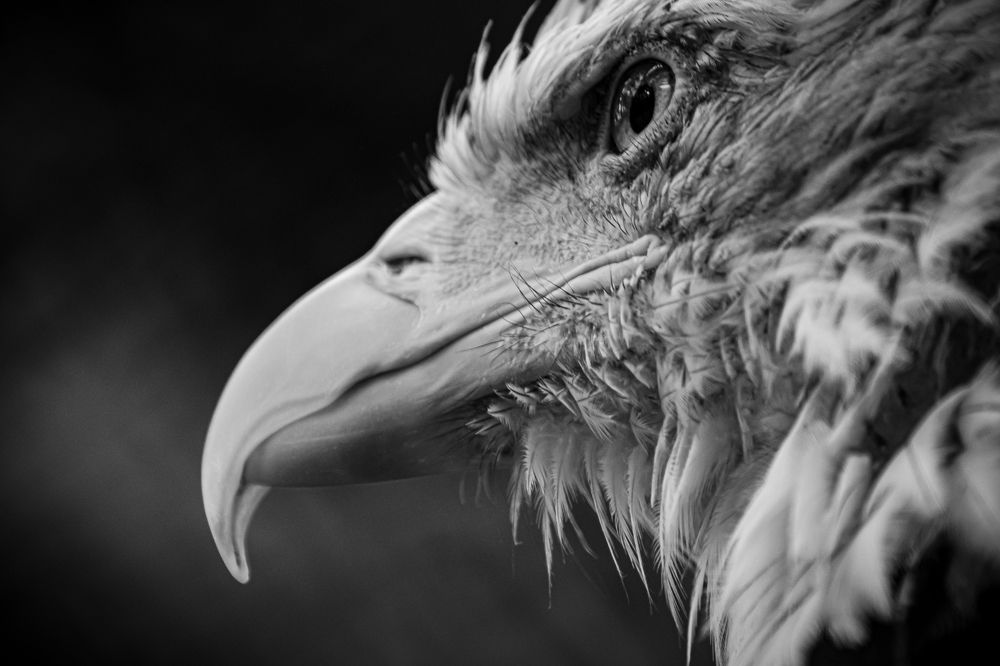 Photograph by Елена Берсенёва