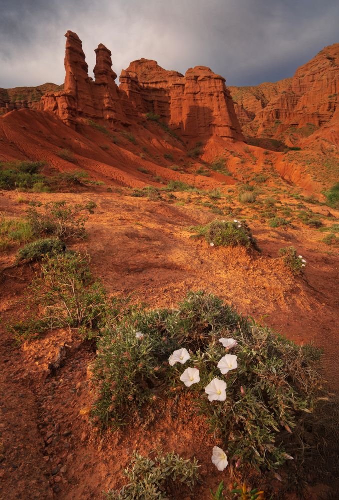 Photograph by Нерозя Александр