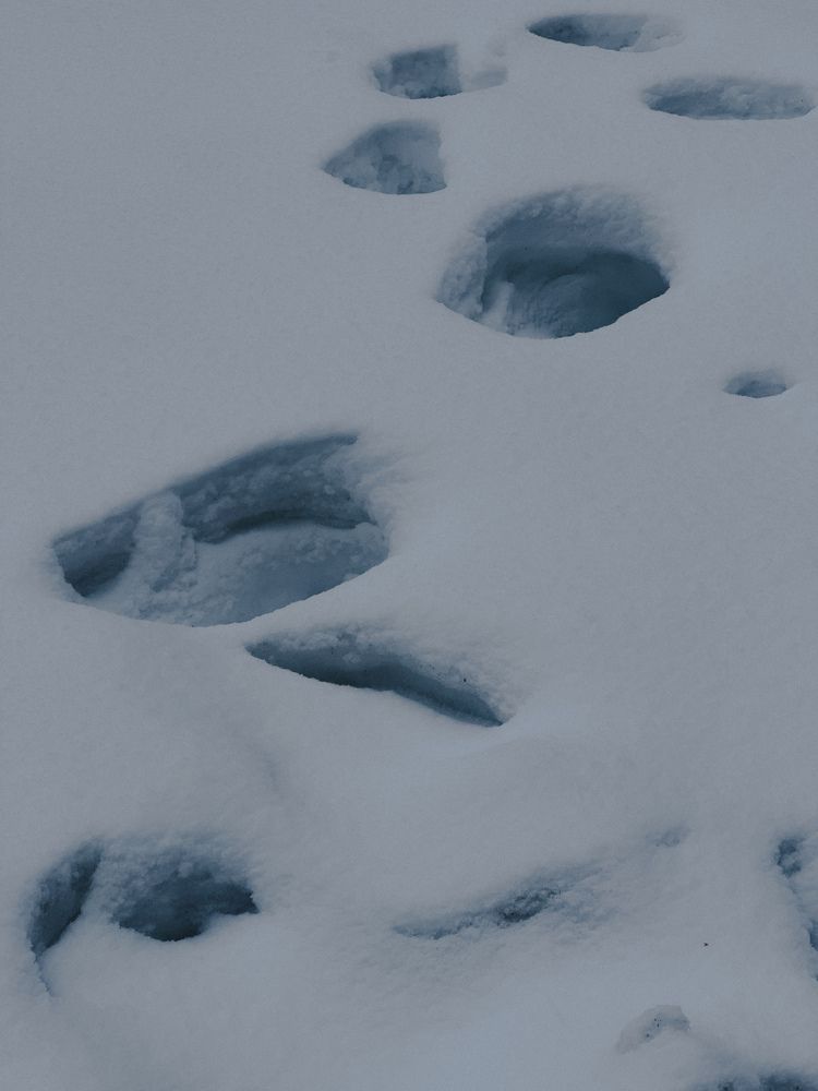 Photograph by Виктория Дворецкая