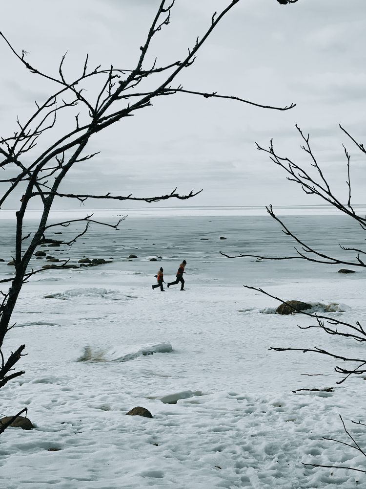 Photograph by Виктория Дворецкая