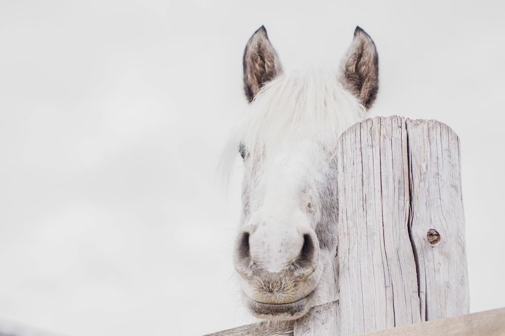 Фотография автора Viktoriya Kim