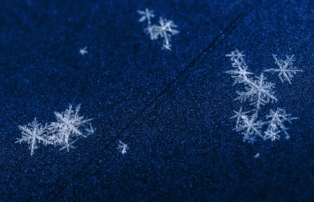 Photograph by Юлия Лушникова