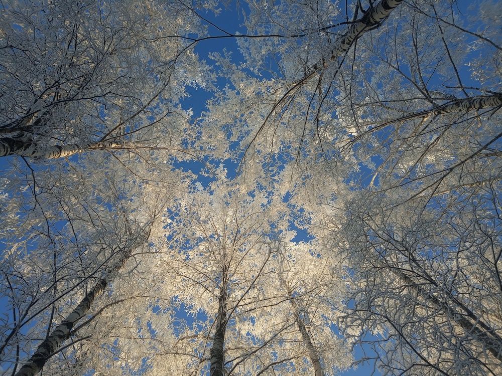 Photograph by Maiya Bulatova