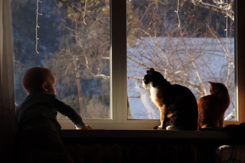 Photograph by Татьяна Кужлекова