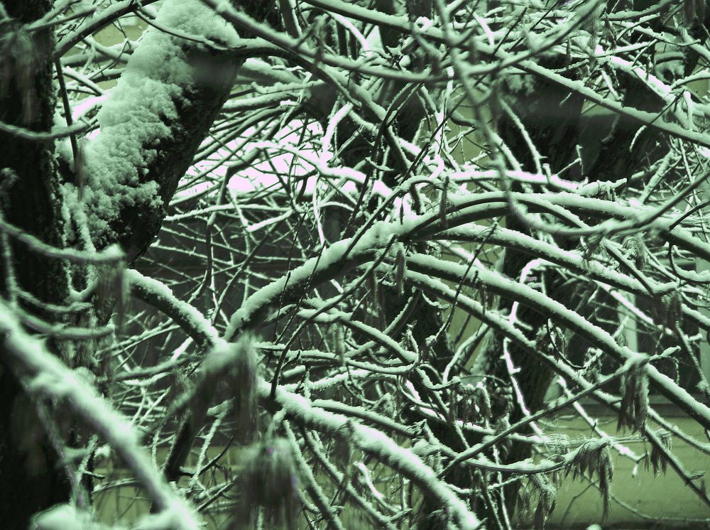 Фотография автора Всеволод