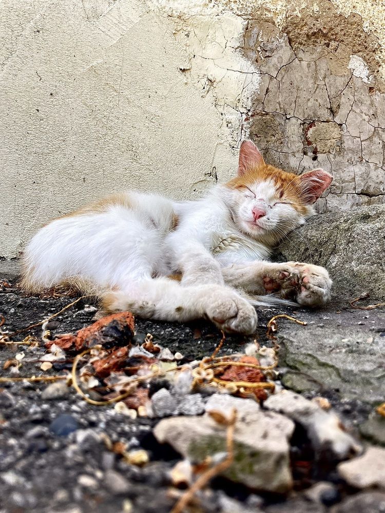 Photograph by Nadya Sterligova