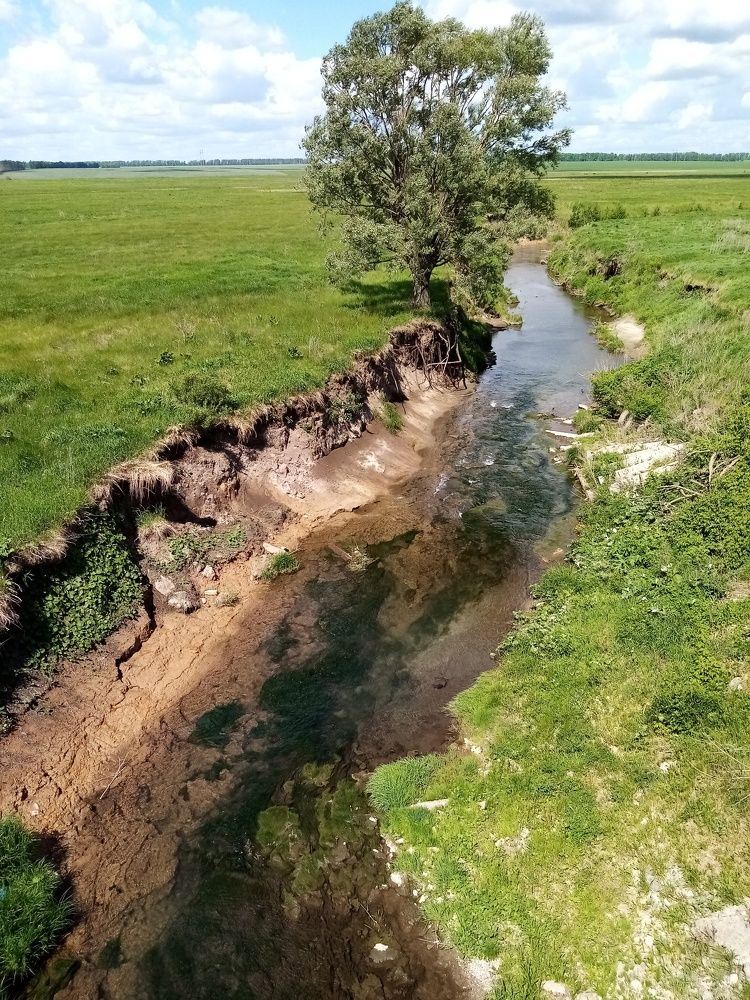 Полдень в степи.