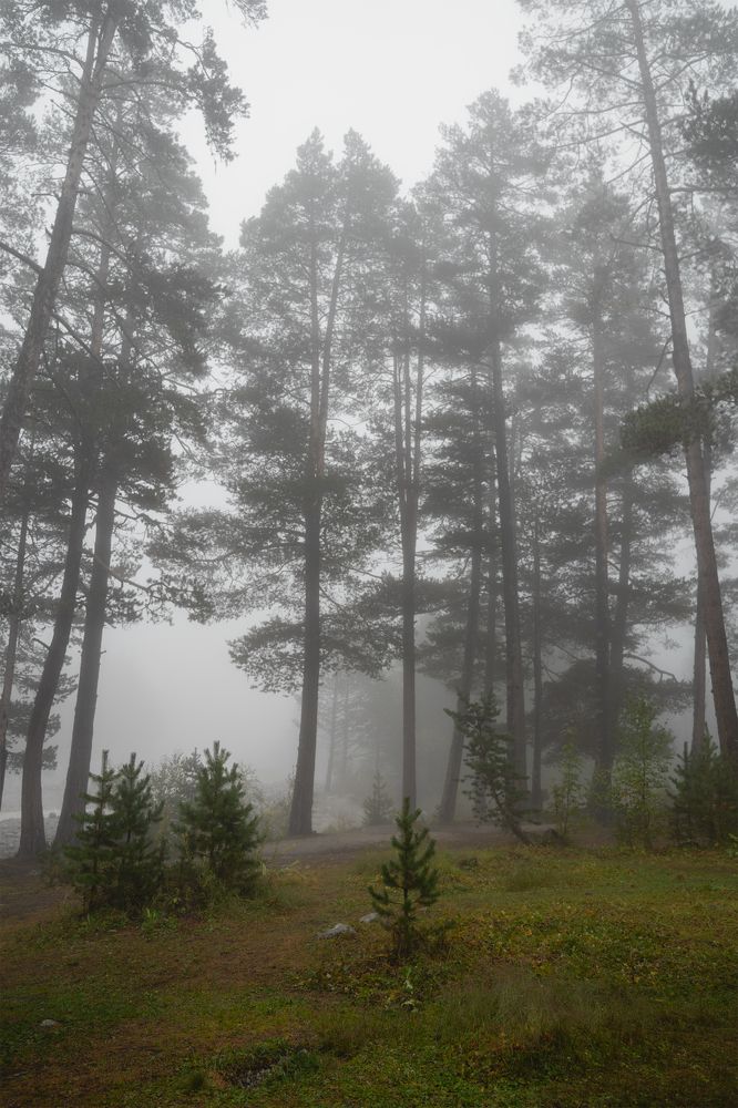 Photograph by Алиса Емельянова