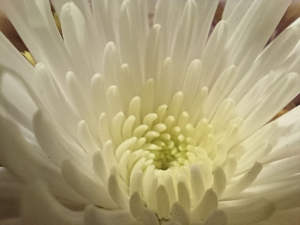 Photograph by Екатерина Игоревна