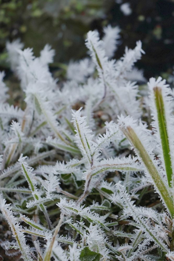 Photograph by Серёга Ануфриев