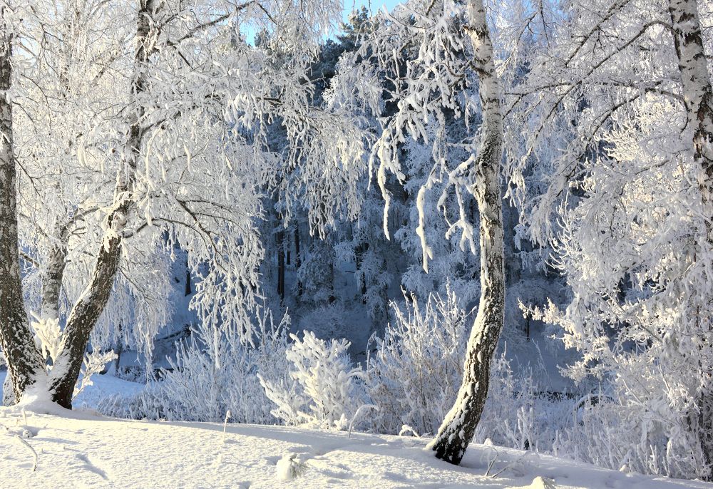 Фотография автора Кухта Мария