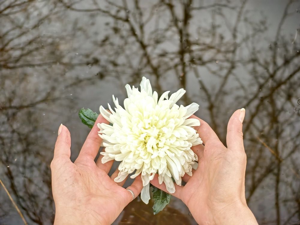 Photograph by Виктор Букин