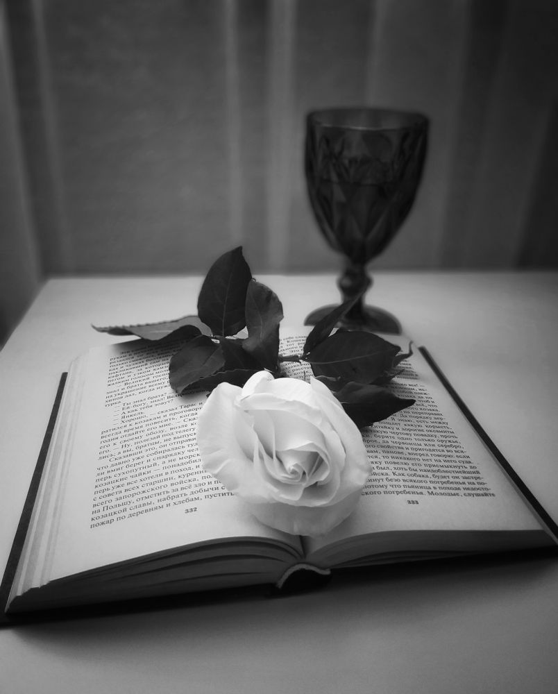 Photograph by Вера Родионова