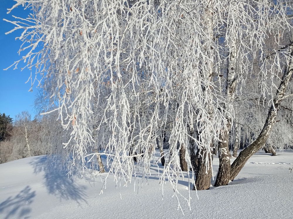 Фотография автора Кухта Мария