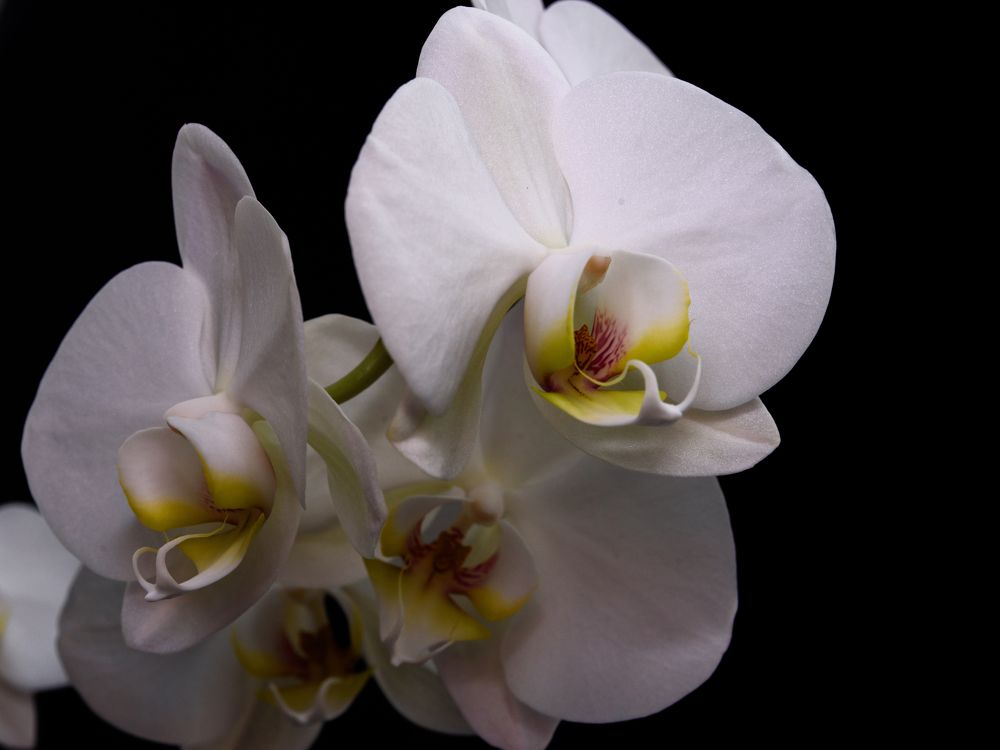 Photograph by Артем Алхимов