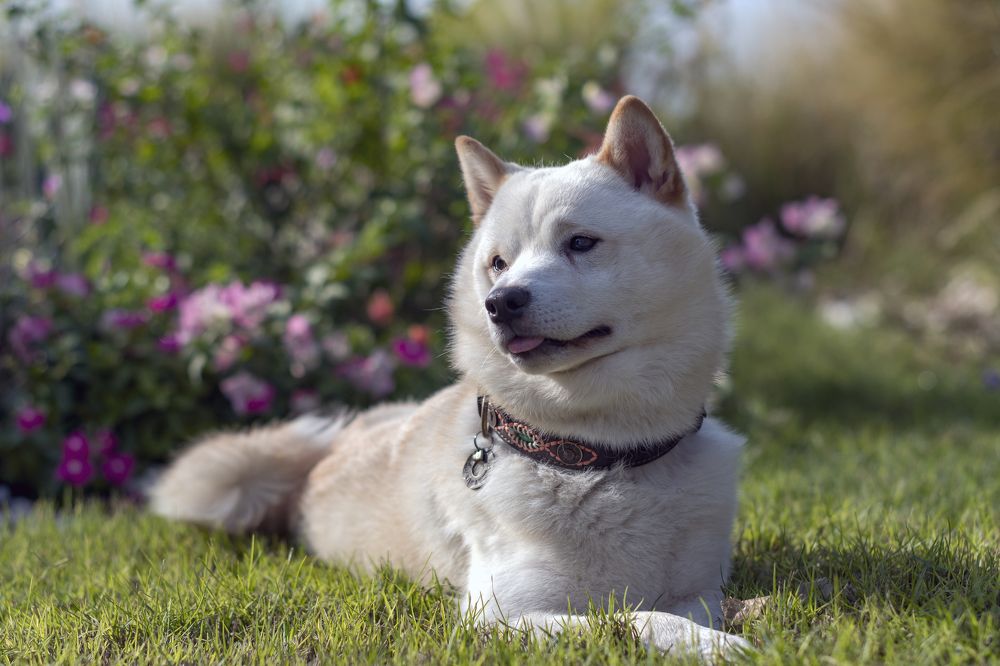 Photograph by Демьян Лопатов