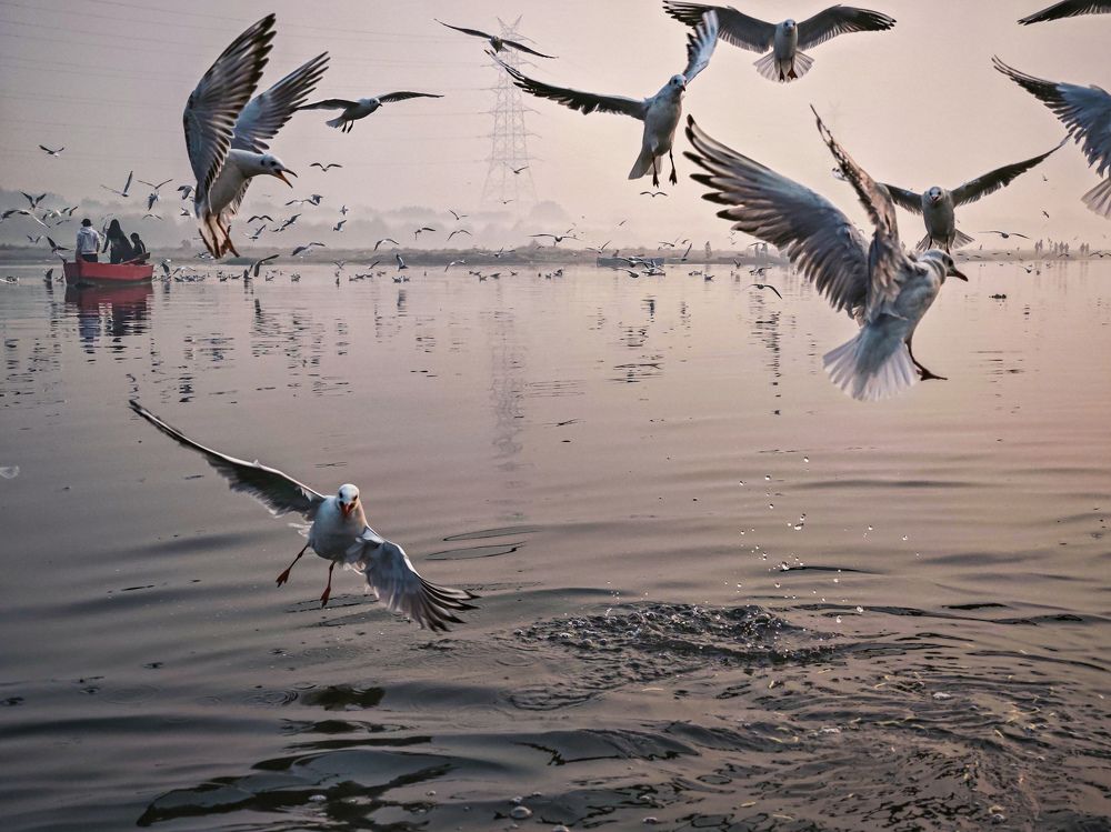 Photograph by HARSHIT MISHRA