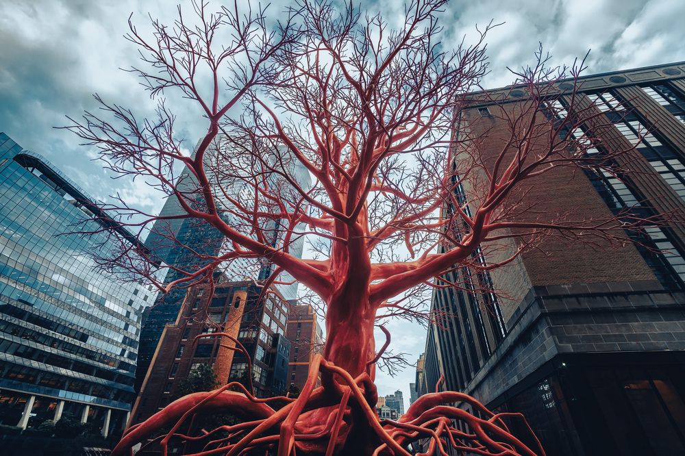 Photograph by Iosif Magomedov