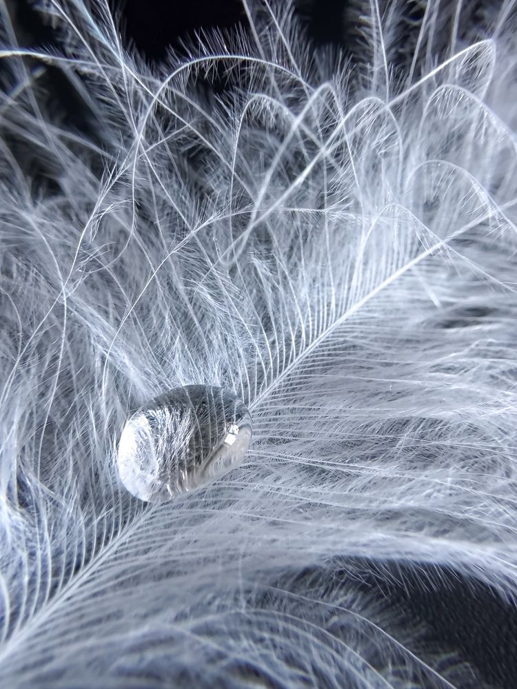 Photograph by Zhanna Kolesnikova