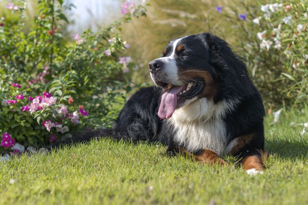 Photograph by Демьян Лопатов