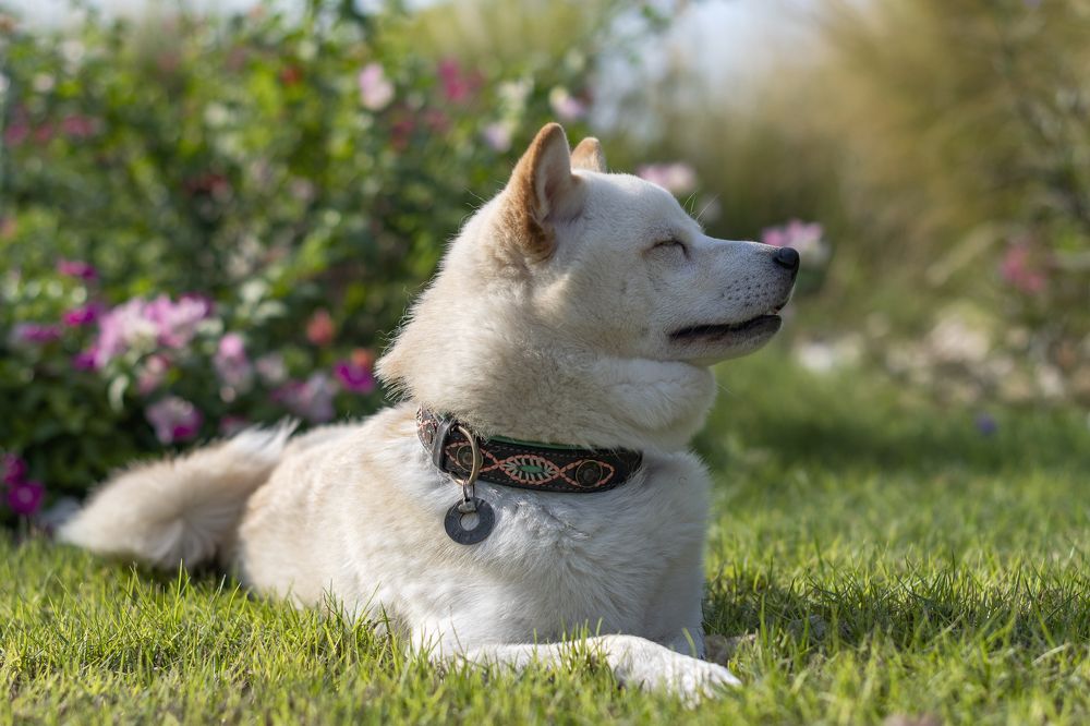 Photograph by Демьян Лопатов