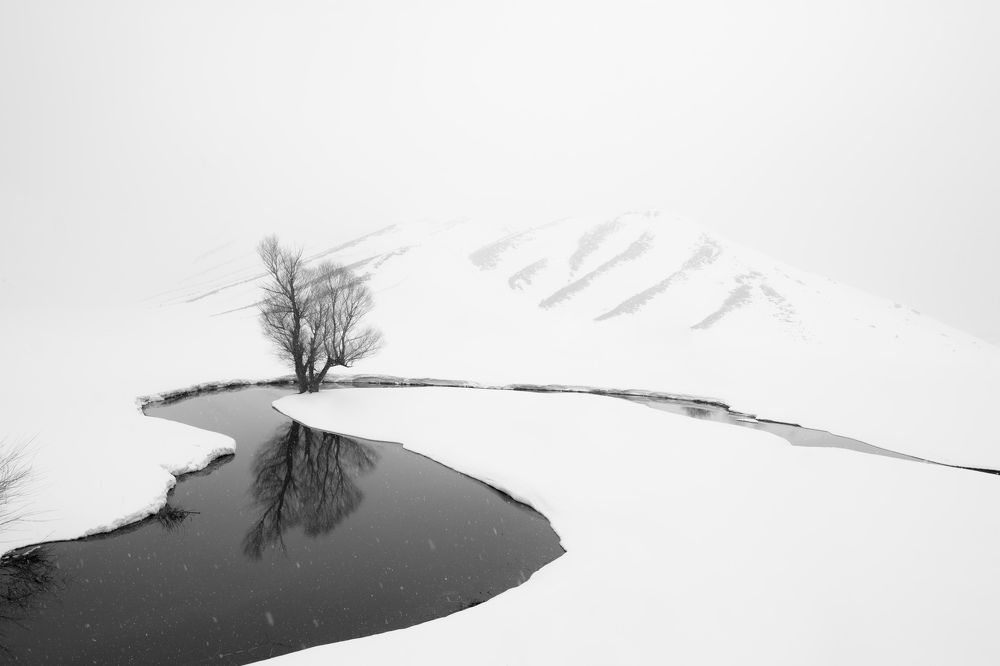 Фотография автора mohammad Alipour