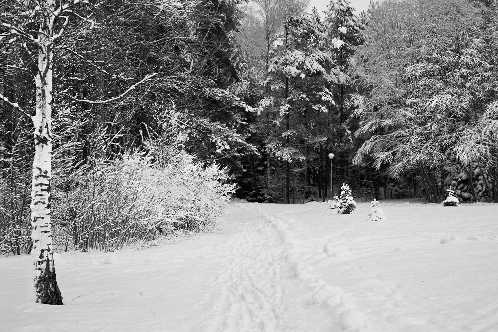 Photograph by Лидия Баженова