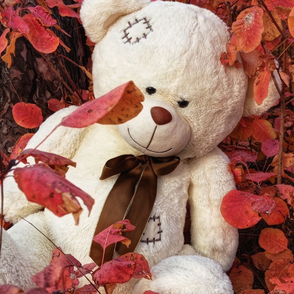 Photograph by Валентина Рябуха