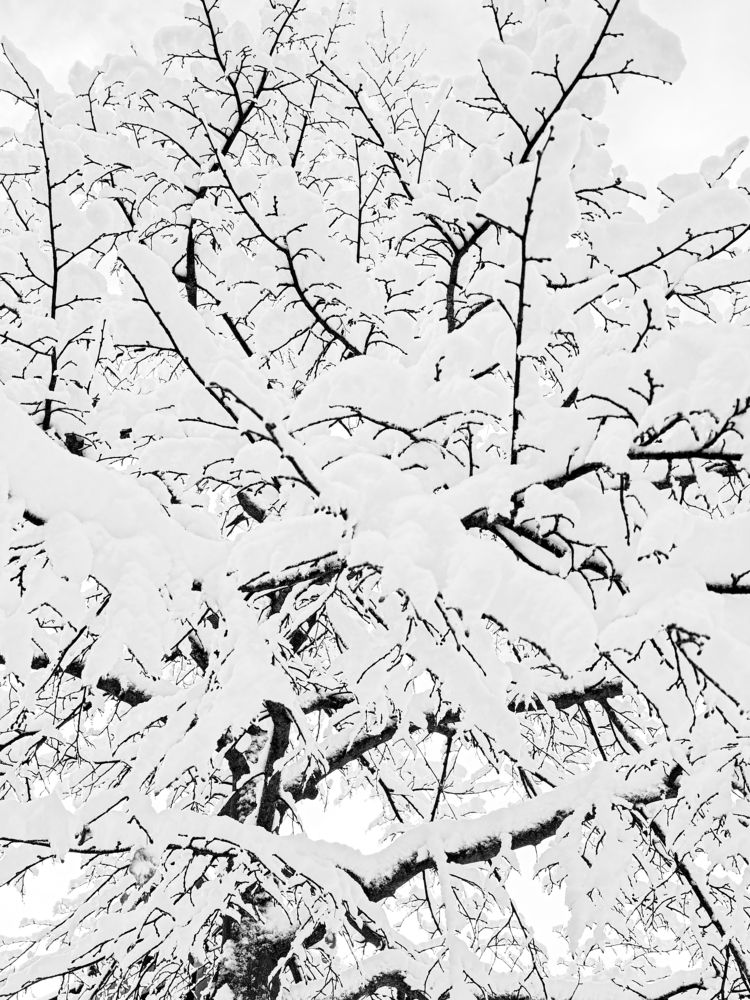 Photograph by daria eipert