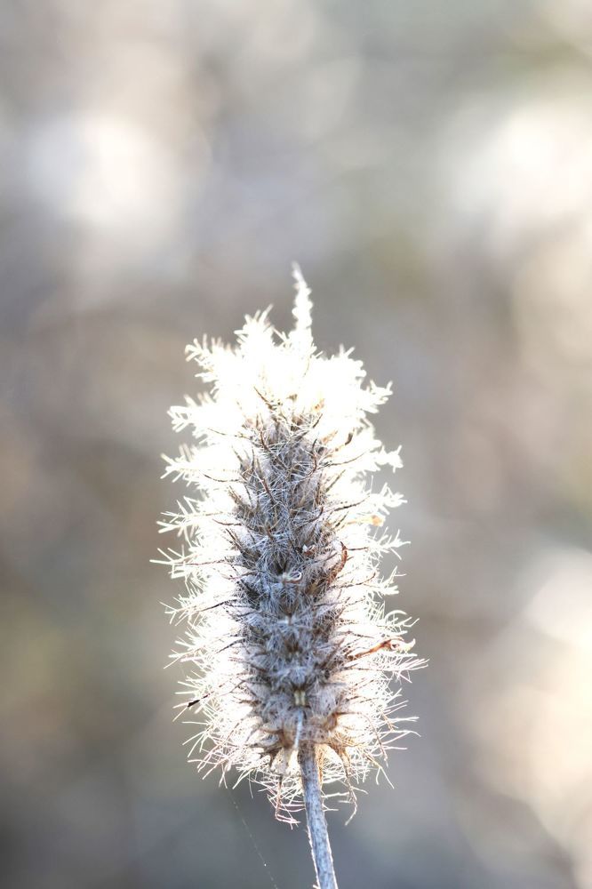 Photograph by Merav Zuberman Perkal