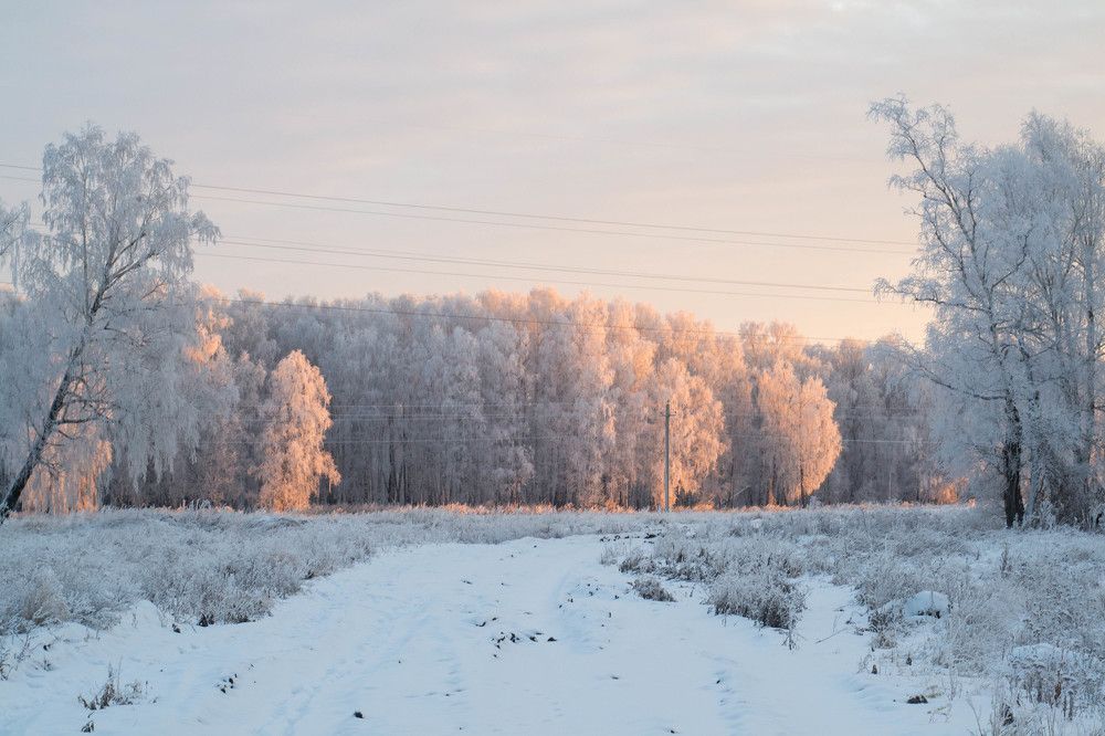 Photograph by Евгения Антропова