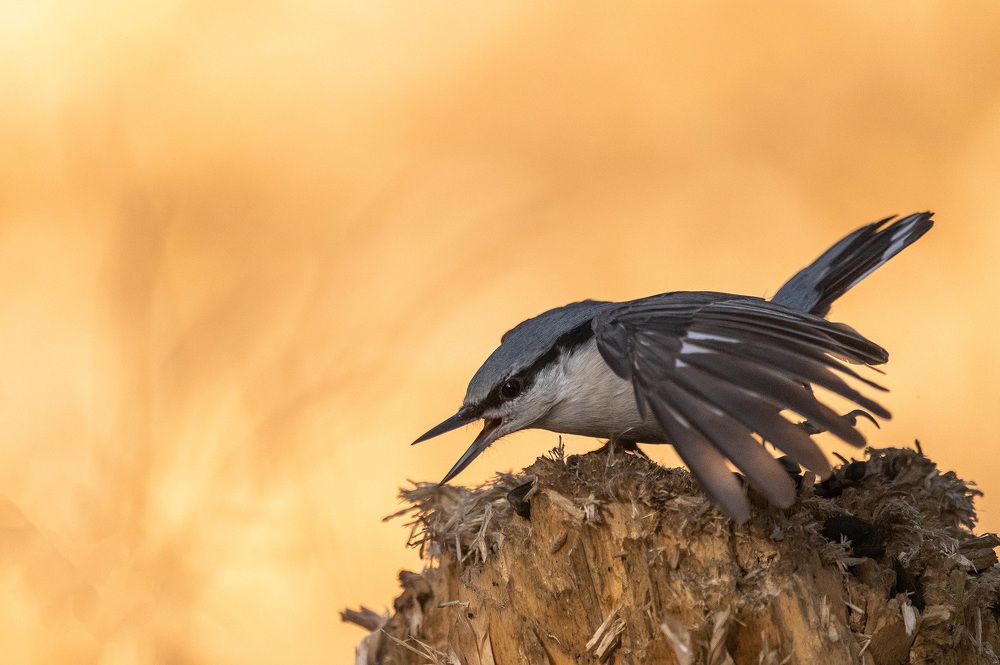 Photograph by Александр Щербаков
