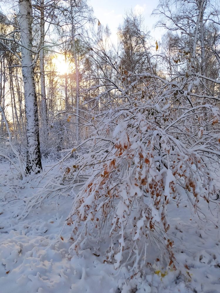 Photograph by Евгения Антропова