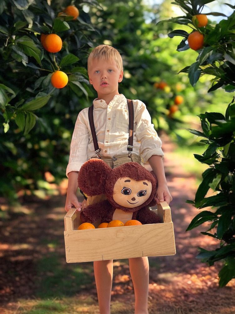 Photograph by Елена Владимировна