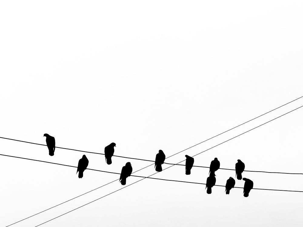 Photograph by Олег Крец