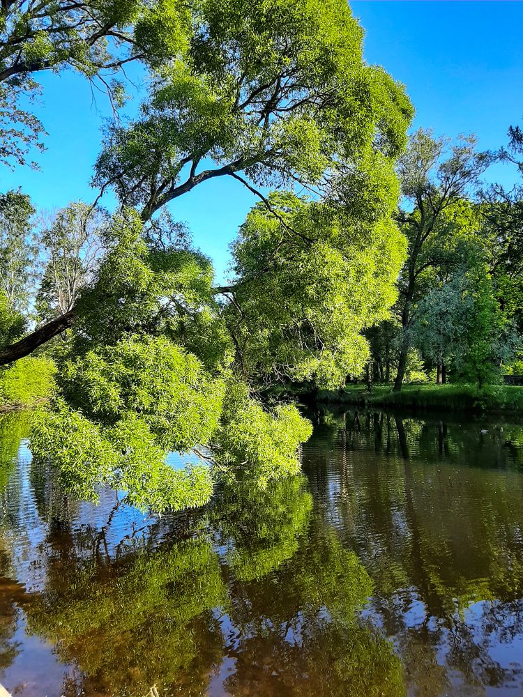 Фотография автора Светлана Дунаева