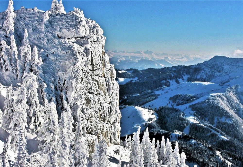 Альпийский дух